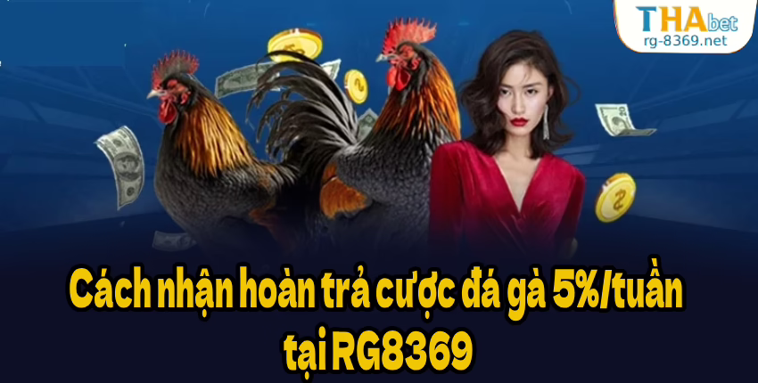 Cách nhận hoàn trả cược đá gà 5%/tuần tại RG8369